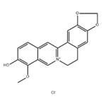 Thalifendine chloride pictures