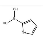 Selenophene-2-boronic acid pictures