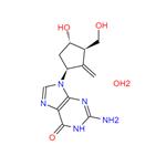 entecavir monohydrate pictures