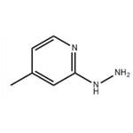 2-hydrazino-4-methylpyridine pictures