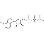 3'-NH2-ATP 100mM Sodium Solution pictures