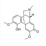 Sinoacutine pictures