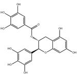 Gallocatechin gallate pictures