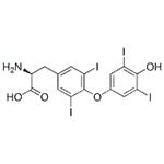 Thyroxine pictures