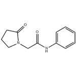 N-phenylpiracetam pictures