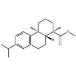 Methyl Dehydroabietate pictures