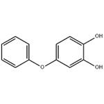 1,2-Benzenediol, 4-phenoxy- (9CI) pictures