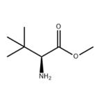 	METHYL 2-AMINO-3,3-DIMETHYLBUTANOATE pictures