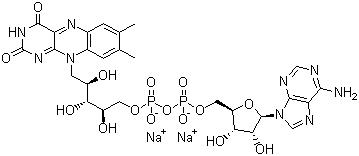 CAS # 84366-81-4, Flavin adenine dinucleotide disodium salt, Riboflavin 5'-adenosine diphosphate disodium salt, FAD-Na2