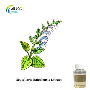 Scutellaria Baicalensis Extract