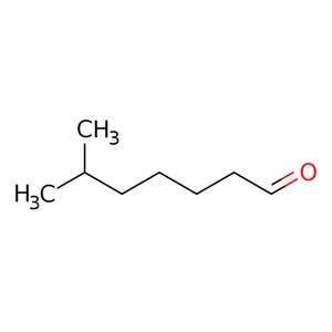 6-Methylheptanal