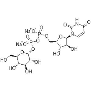 Uridine 5'-diphosphoglucose disodium salt; UDPG; UDP-Glucose