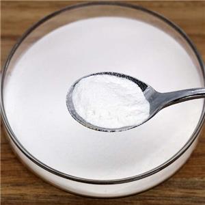 Sodium Carboxymethyl Cellulose