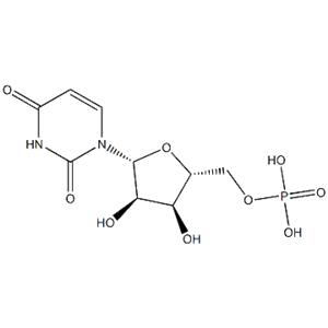 Polyuridylic acid potassium salt；Poly U-K,Poly U