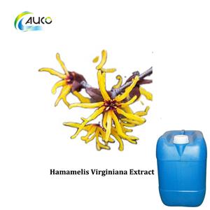 Hamamelis Virginiana Extract