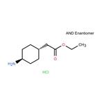 Ethyl trans-2-(4-Aminocyclohexyl)acetate Hydrochloride pictures