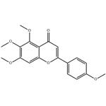 SCUTELLAREIN TETRAMETHYL ETHER pictures