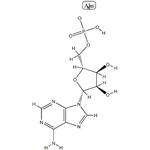 Polyadenosinic acid potassium salt,Poly A K; pictures