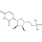 Polyuridylic acid potassium salt；Poly U-K,Poly U pictures