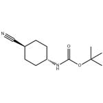 trans-1-(Boc-amino)-4-cyanocyclohexane pictures