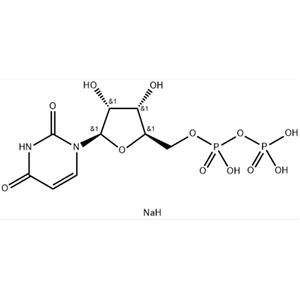 uridine 5'-diphosphate disodium salt