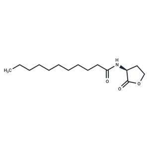 N-undecanoyl-L-Homoserine lactone