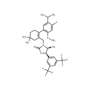 CKD-519