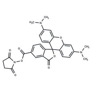 NHS-5(6)Carboxyrhodamine