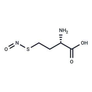 S-Nitrosohomocysteine