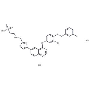 GW 583340 dihydrochloride