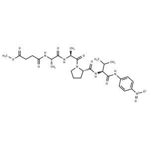 MeOSuc-AAPV-pNA