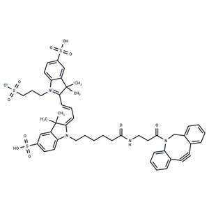 DBCO-Cy3