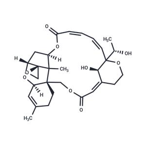 Satratoxin H