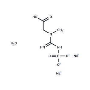 Phosphocreatine disodium hydrate