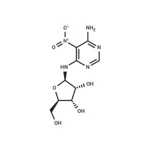 Clitocine