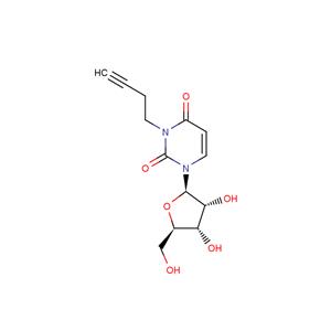 N3-(Butyn-3-yl)uridine