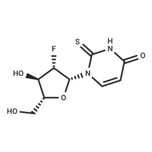 2’-Deoxy-2’-fluoro-b-D-arabino-2-thiouridine