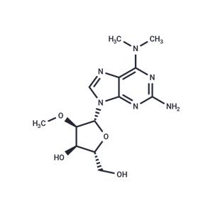 2-Amino-N6,N6-dimethyl-2’-O-methyladenosine