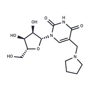 5-Pyrrolidinomethyluridine