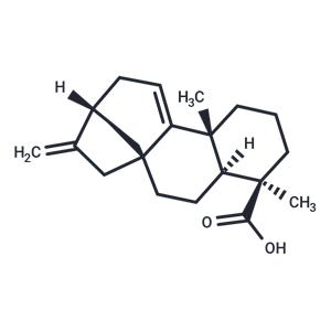 Grandiflorenic acid