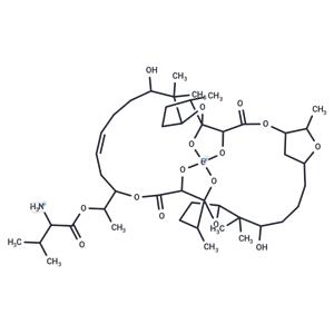 Boromycin