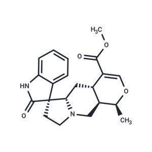 Isomitraphylline