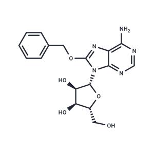 8-Benzyloxyadenosine