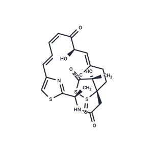 Leinamycin