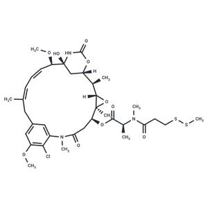 DM1-SMe