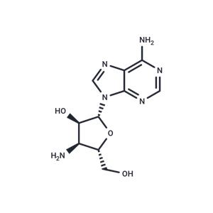 3’-Amino-3’-deoxyadenosine