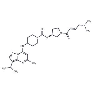 CDK7-IN-2