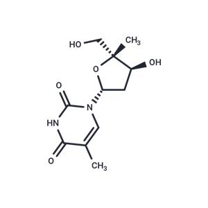 4’-Methylthymidine