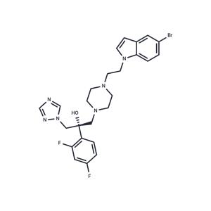 S-F24