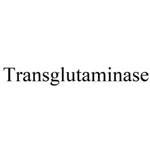 Transglutaminase